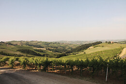 Azienda Agricola La Piotta