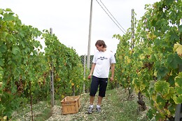 Azienda Agricola La Piotta
