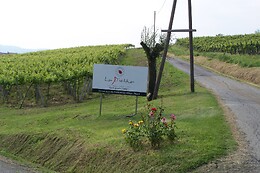 Azienda Agricola La Piotta