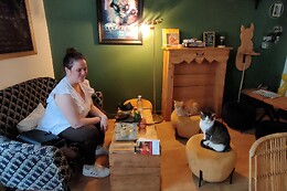 Chat'lon de thé