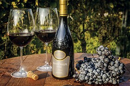 Cantina Bertagna