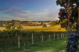 Cantina Bertagna