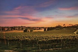 Cantina Bertagna