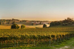 Cantina Bertagna