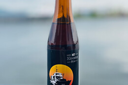 Kloosterschip Elia II