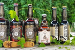 HopSaSam