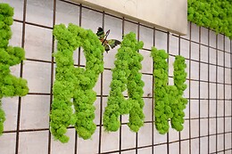 Raw Vegan Firenze