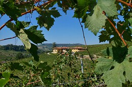 Az. Agr. Costa di Bussia – Tenuta Arnulfo s.s.