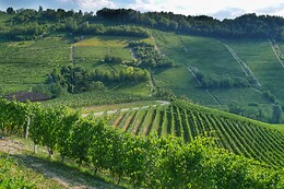Az. Agr. Costa di Bussia – Tenuta Arnulfo s.s.
