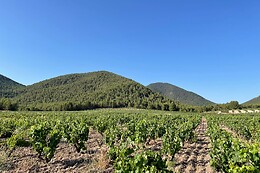 BODEGA EL SESEO