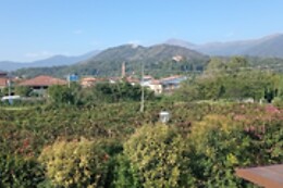 Terre del Creario
