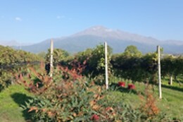 Terre del Creario