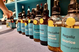 LAS VERMUDAS