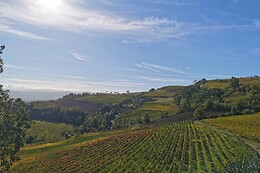 Azienda Agricola Gallo Montabone