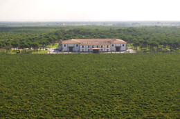 PAGO DE LA JARABA