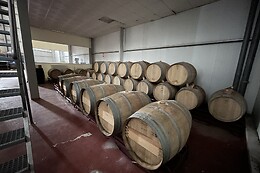 BODEGA LENEUS