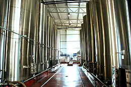 BODEGA LENEUS