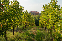 Poderi di San Pietro
