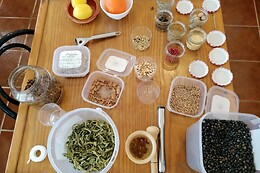 Destilaria Atalaya Gin