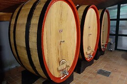 Montepascolo
