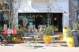 BDB Lapin