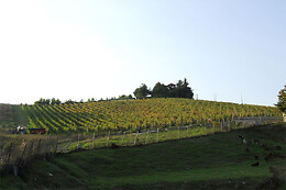 Cascina La Signorina