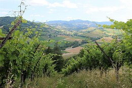 Azienda Vitivinicola Saccomani