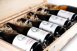 Tasi vini