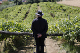 Tenuta L'armonia