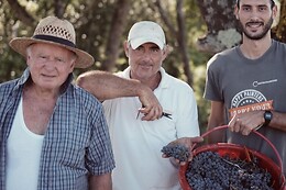 Begnardi Vini