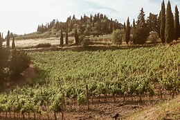 Begnardi Vini