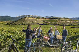 BODEGA FINCA VILLACRECES & BODEGA IZADI