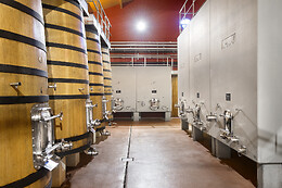 BODEGA FINCA VILLACRECES & BODEGA IZADI