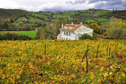 ALE.P.A. Societa′ Agricola