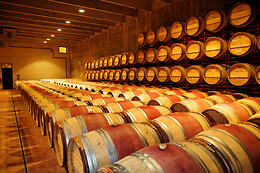 BODEGA MAS LLUNES