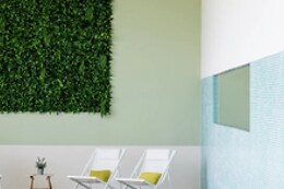 Adam & Eve SPA