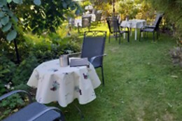 Jorine's theetuin