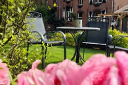 Jorine's theetuin