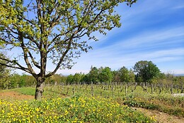Le Terre Rosse di Mombaruzzo