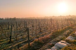 Le Terre Rosse di Mombaruzzo