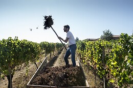 Le Terre Rosse di Mombaruzzo