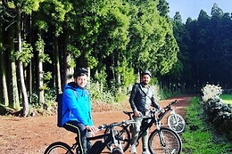 Azores Nature Tours