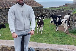 Azores Nature Tours