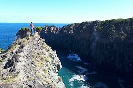 Azores Nature Tours