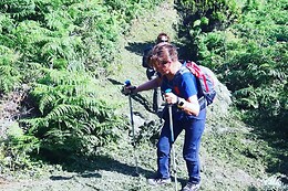 Azores Nature Tours