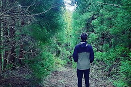 Azores Nature Tours
