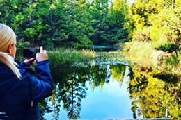 Azores Nature Tours