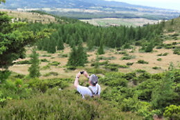 Azores Nature Tours