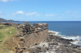 Azores Nature Tours