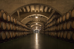 BODEGAS CORRAL